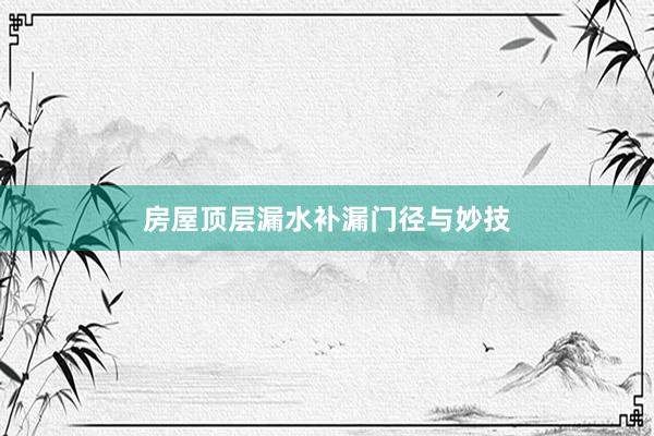 房屋顶层漏水补漏门径与妙技